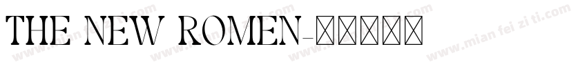THE NEW ROMEN字体转换